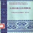 大理白族自治州概况.pdf