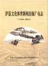 泸县文化体育新闻出版广电志_曾发明_PDF电子版下载