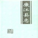广东省廉江县志.pdf下载