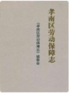 孝南区劳动保障志 2009版PDF电子版下载