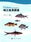 珠江鱼类图鉴_2018版_PDF电子版下载