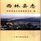 广西西林县志.pdf下载