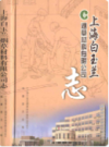 上海白玉兰志                   2010年版                     PDF电子版下载