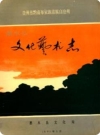 惠水县文化艺术志_1991版_PDF电子版下载