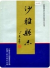新疆  沙雅县志 1995版.pdf电子版下载