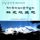 西藏林芝地区志.pdf下载
