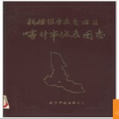 新疆维吾尔自治区喀什市地名图志 1984版.PDF电子版下载